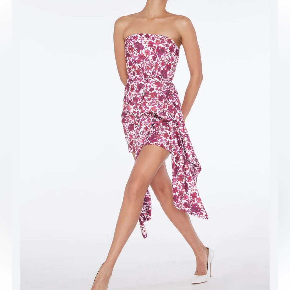 NWOT AMUR Leith ‘Barberry Watercolor Botanical’ Strapless Mini Dress-Bow Detail
